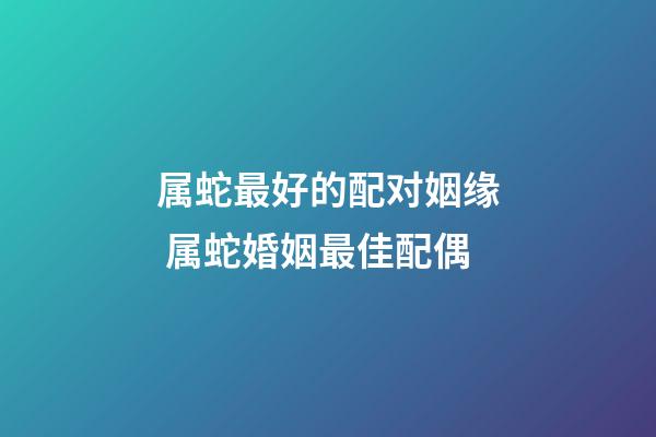 属蛇最好的配对姻缘 属蛇婚姻最佳配偶-第1张-观点-玄机派